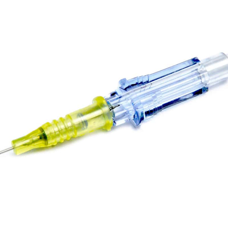 BD Insyte IV Catheter