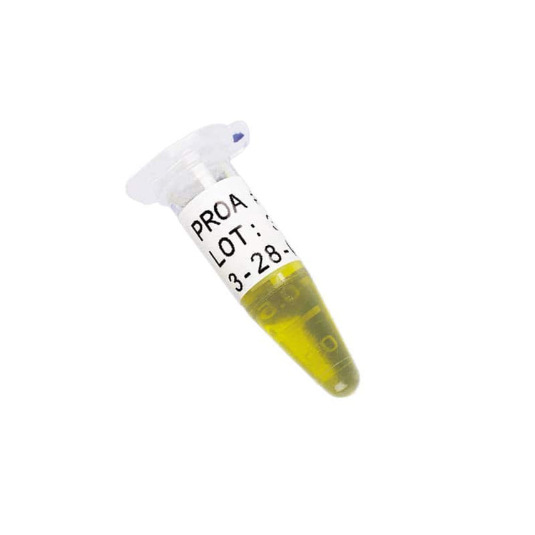 Brady FreezerBondz (TM) Labels B33-125-490